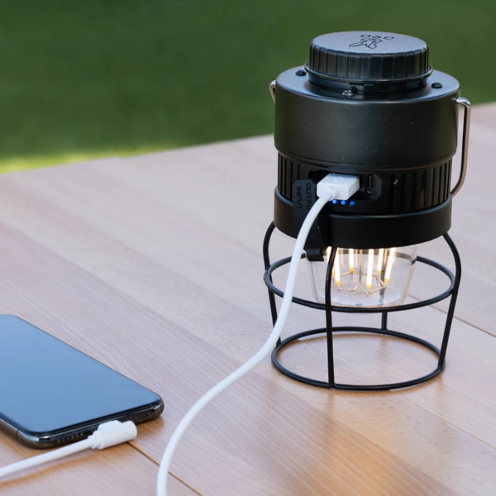 DoD Look At My Butt Lighting Lantern 10 DoD Look At My Butt Lighting Lantern - Image 10