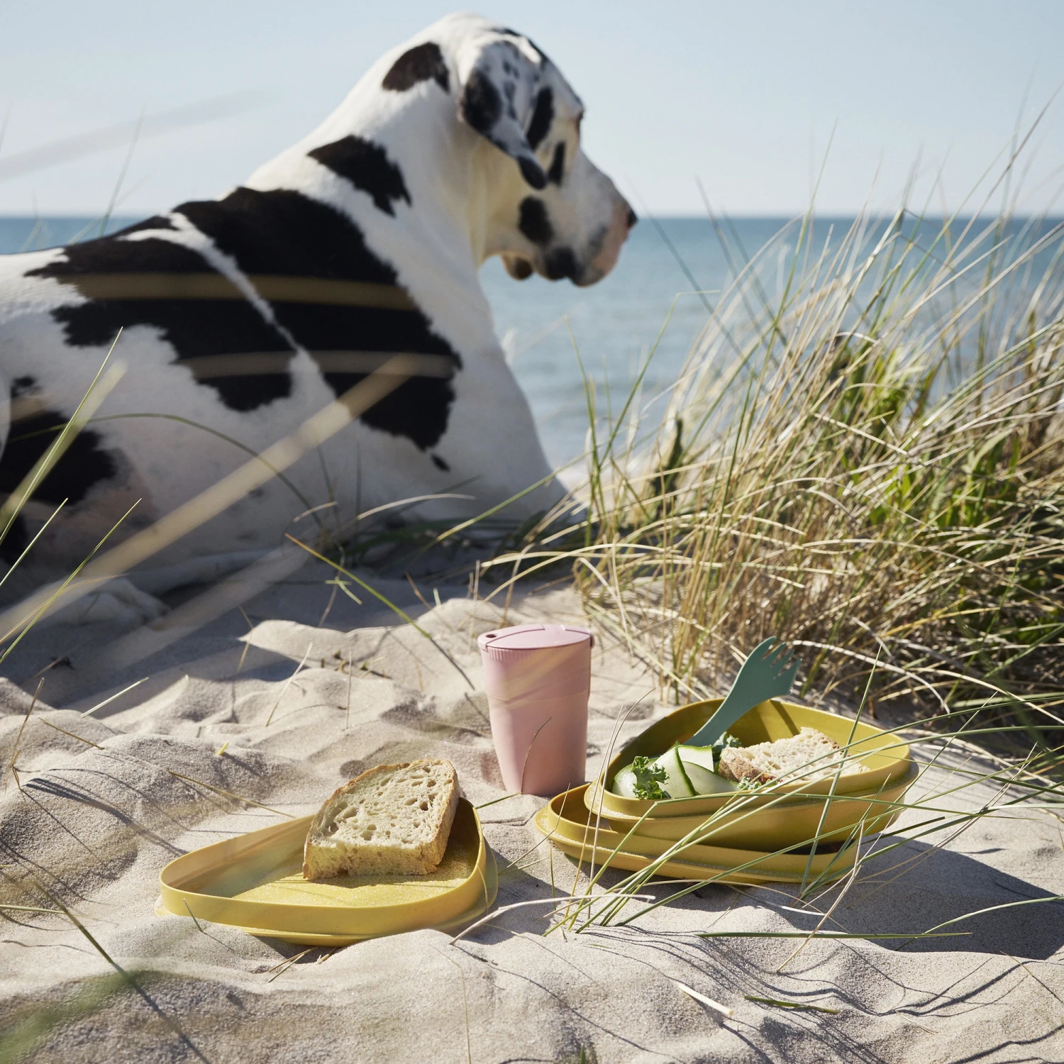 Light My Fire Eat´n Drink Kit BIO For 4 Nature 4 Light My Fire Eat´n Drink Kit BIO For 4 Nature - Image 4