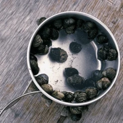 Snow Peak Titanium Personal Cookerset 7 Snow Peak Titanium Personal Cookerset -Montanic Store 5 f4a24d2b 74c1 4d6c b87f 1a2061f2d3b5