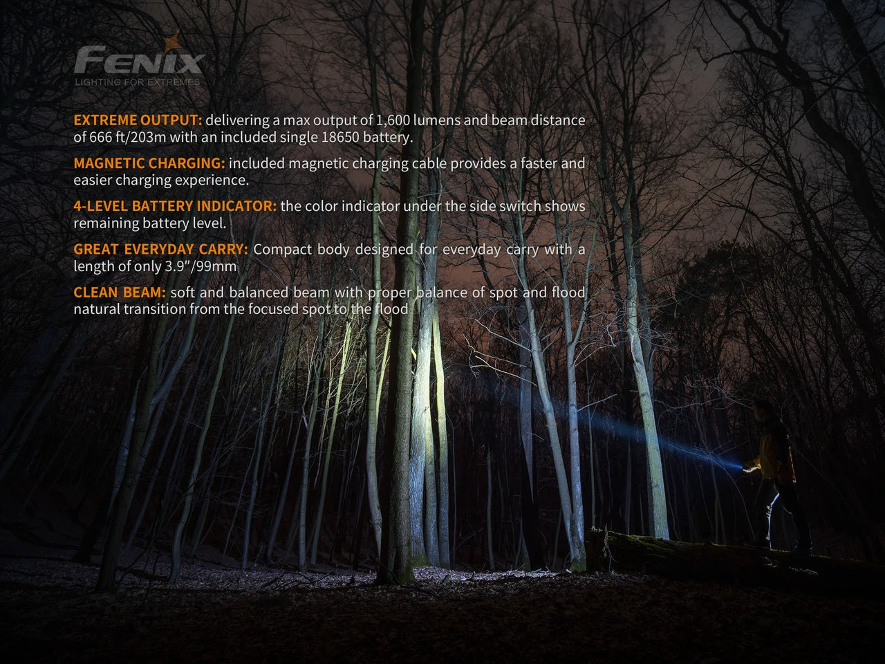 Fenix E30R Luminus SST40 LED Flashlight BLACK 5 Fenix E30R Luminus SST40 LED Flashlight BLACK - Image 5