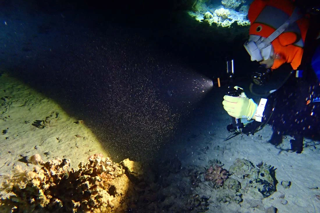 Fenix SD11 XM-L2 U2 Diving Photographic Light 7 Fenix SD11 XM-L2 U2 Diving Photographic Light - Image 7