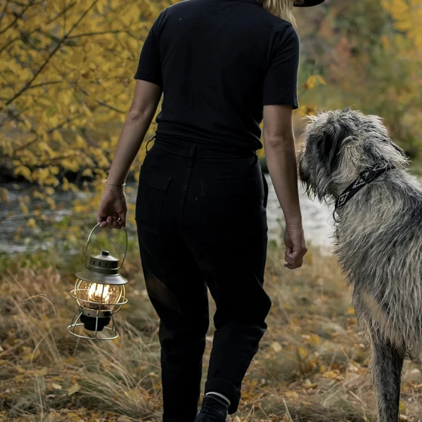 Barebones Railroad Lantern Olive Drab 6 Barebones Railroad Lantern Olive Drab - Image 6