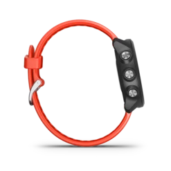 Garmin Forerunner 245 GPS Smartwatch 12 Garmin Forerunner 245 GPS Smartwatch -Montanic Store forerunner245Music lava image 04